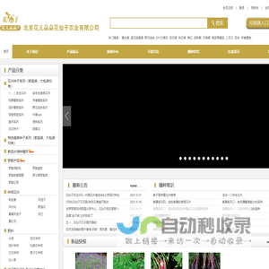 首页―北京花仙子园艺―专业种子培育，批发零售各种花卉、花种、苗木