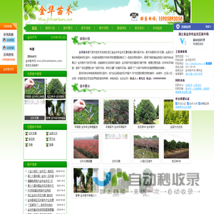金华苗木-金华苗木场_金东区绿化苗木批发基地
