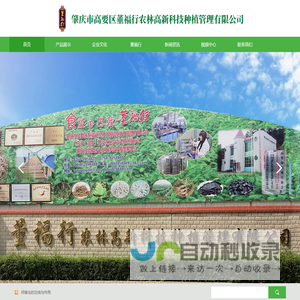 肇庆市高要区董福行农林高新科技种植管理有限公司